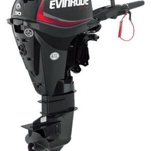 Evinrude E30DPGL