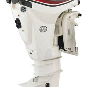 Evinrude E30DPSL