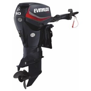 Evinrude E60DGTL